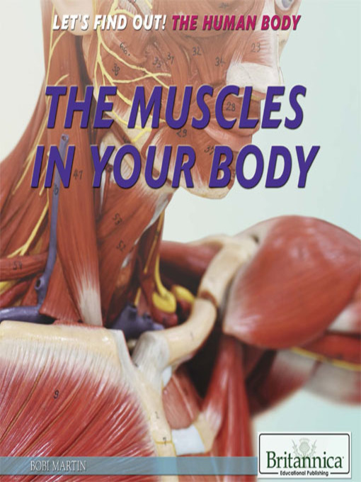 Title details for The Muscles in Your Body by Bobi Martin - Wait list